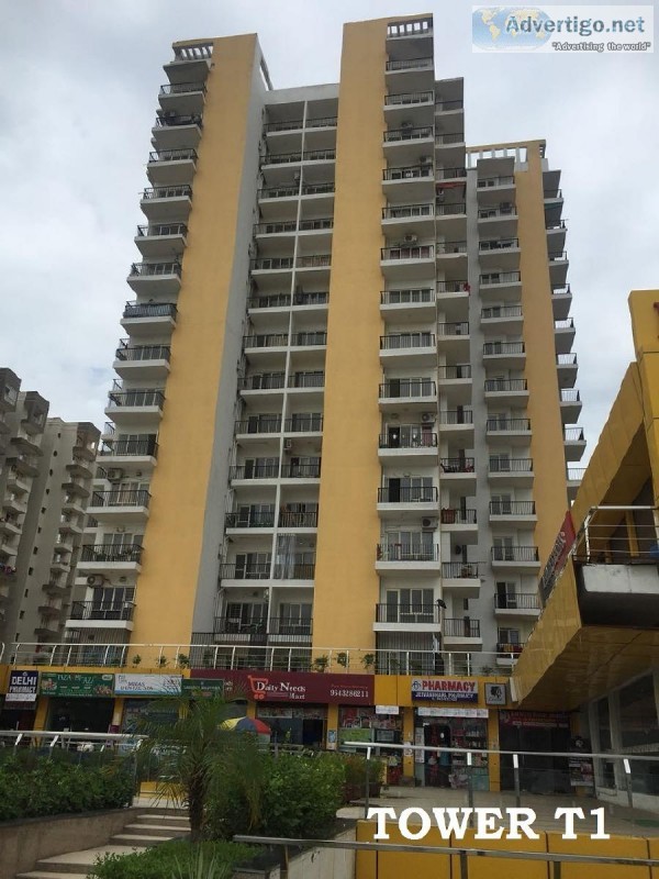 Diwali Bonanza Ready to Move Flats Panchsheel Hynish 9250001807
