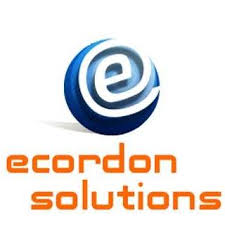 Travel technology expert