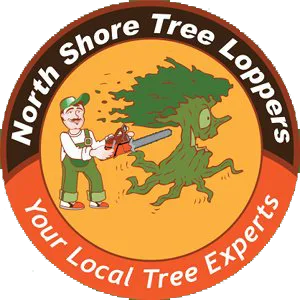Tree Removal Northern Beaches