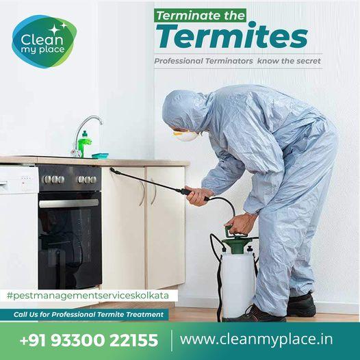 Pest Management Services Kolkata