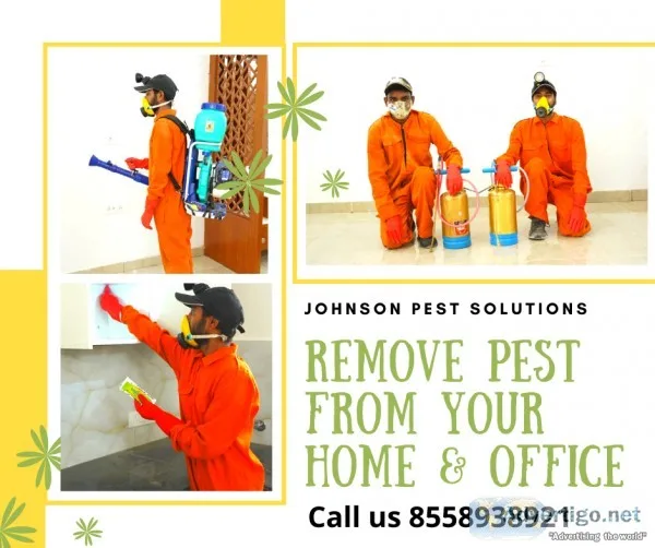cockroach treatment services in panchkula
