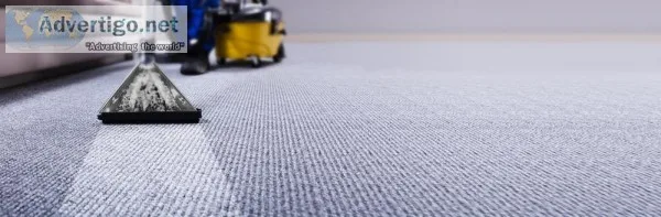Make Your Carpet Clean And Hygienic