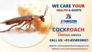 Pest Control in Panchkula