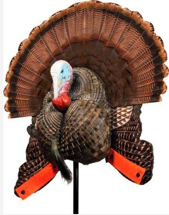 Purchase the Mojo Scoot and Shoot Turkey Decoy Online