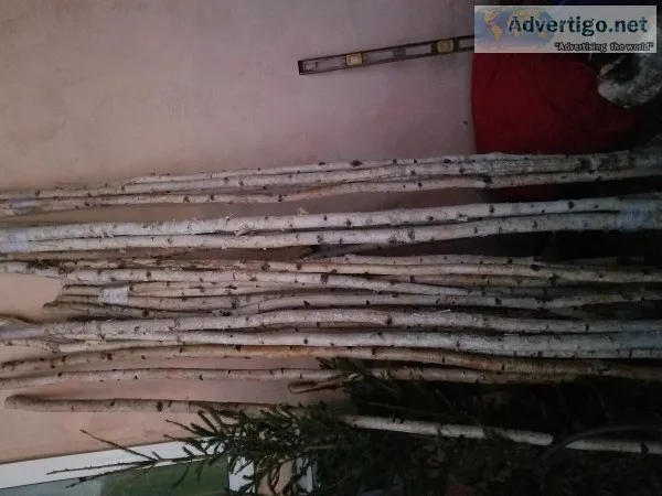 8 ft white birch poles thin and medium size