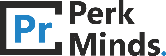 Best Website Designing Company In India  Perkminds