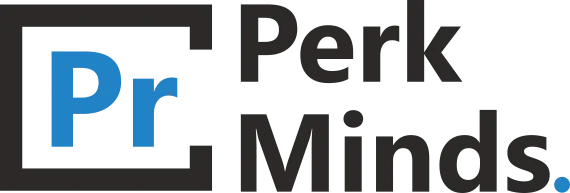 Best Website Designing Company In India  Perkminds