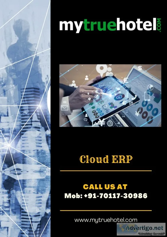 Enterprise Resource Planning (ERP)