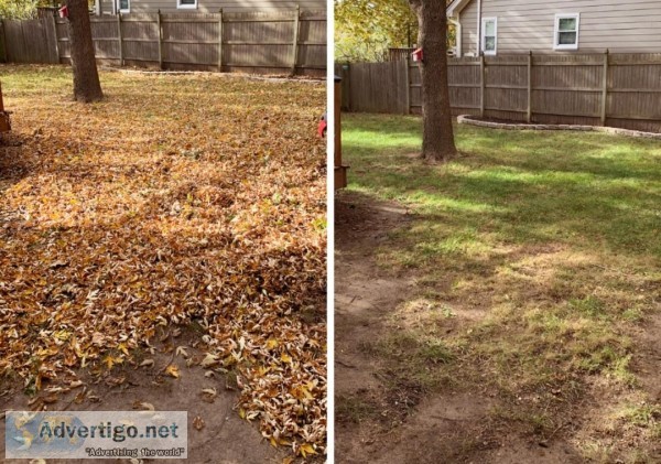 Leaf removal and Lawncare