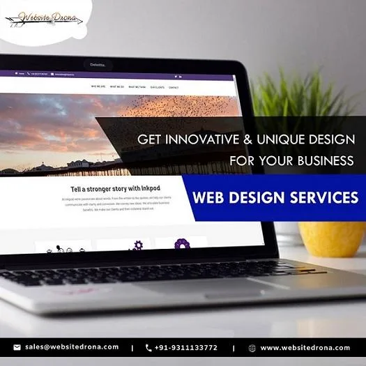 Best Website Designing Company in Delhi Website Designing Servic