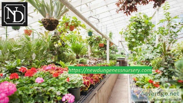 Sequim Nrsery - NewDungenessNursery