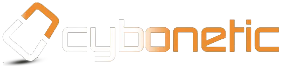 Cybonetic technologies| web hosting company in patna