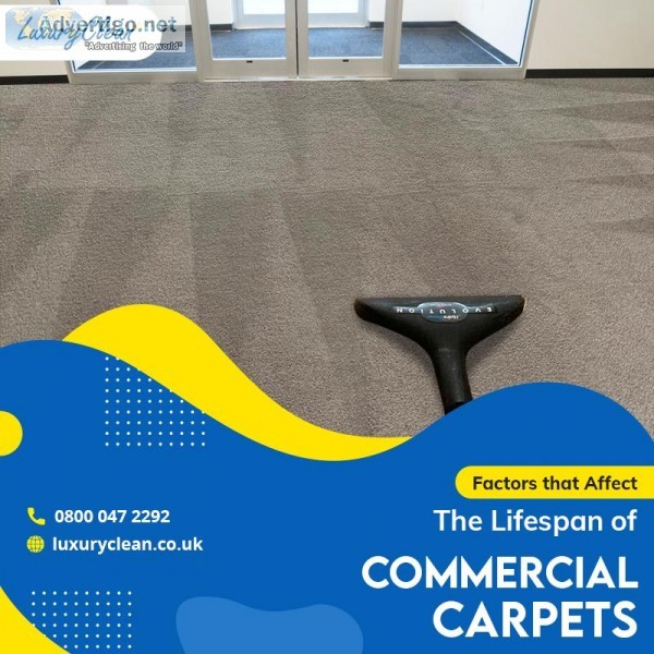 Engage Expert Cleaning Services for Proper Carpet Protection