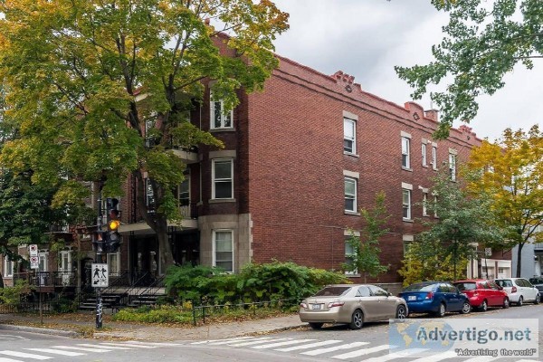 VERY RARE 6 plex EMPTY to exploit Plateau-Mont-Royal Montreal