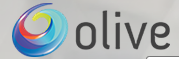 SEO Packages in Delhi