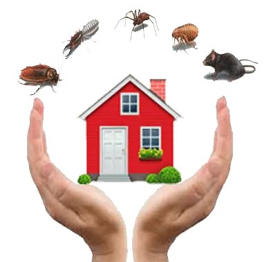 Choose a  Best Pest Control services in Dwarka