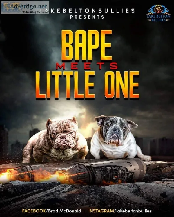 Lakebelton Bullies