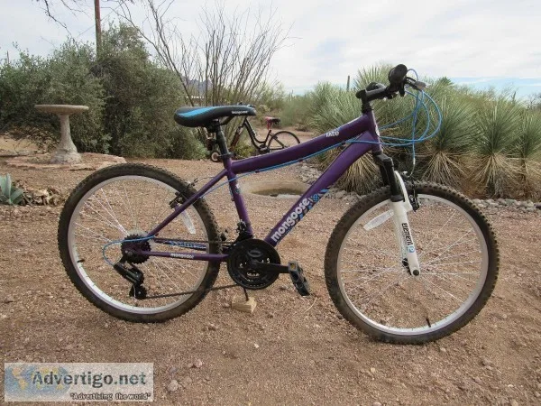 Mongoose Rate 24   bicycle by Christopher Metcalfe Creations