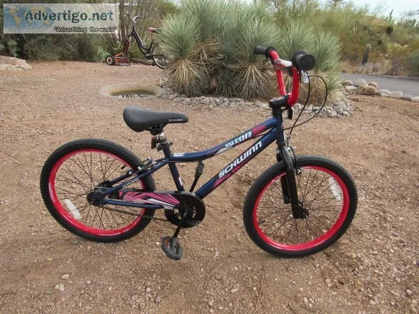 Schwinn Falcon 20 Inch Childs Bike By Christopher Metcalfe Creat