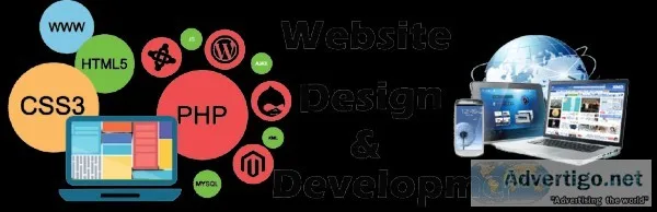 Best Website Design and Development Company in Fort Myers  DMC