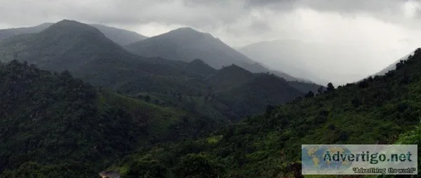 Monsoon at Koraput Valley