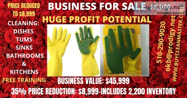 CHEAP PROFITABLE ONLINE BUSINESS FOR SALE (HUGE PRICE REDUCTION)