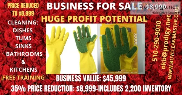 CHEAP PROFITABLE ONLINE BUSINESS FOR SALE (HUGE PRICE REDUCTION)