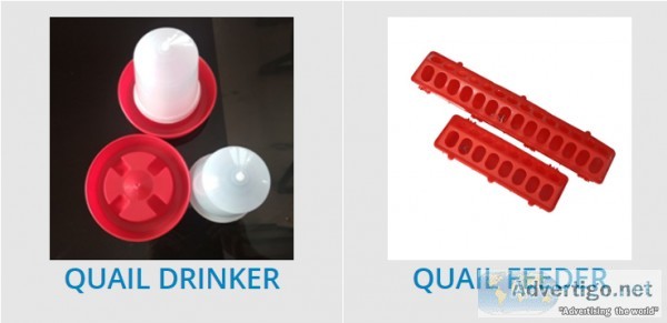 Quail Farming Equipment Manufacturers and Suppliers