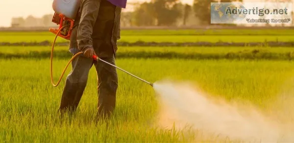 Best Pest Control Services in Noida