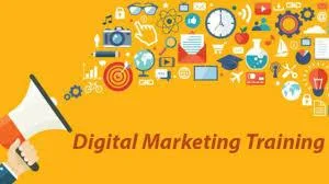 Digital Agency Geelong