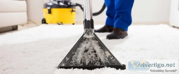 Rug Cleaning New York