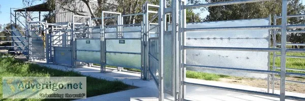 Portable cattle yards from proway livestock equipment