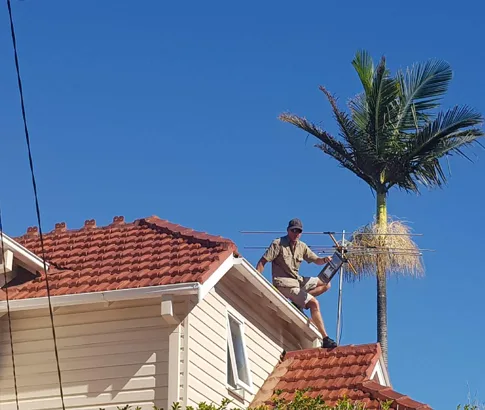 Remove Possum