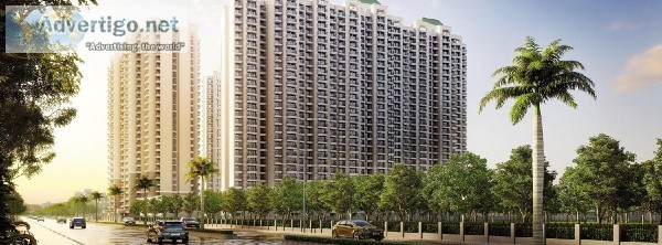 Searching Home For Your Self Come to ATS Happy Trails. 926685085