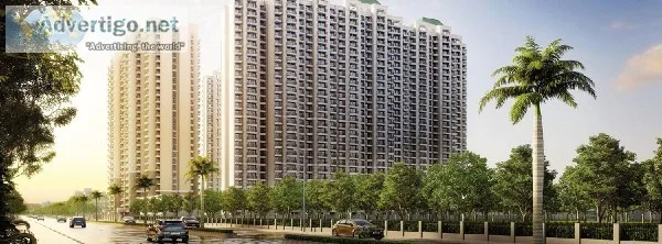 Searching Home For Your Self Come to ATS Happy Trails. 926685085