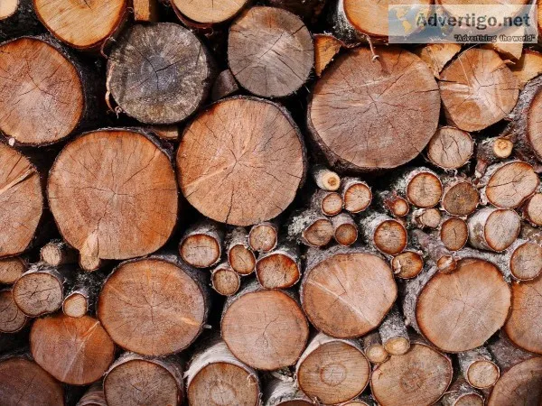 Best Seasoned Firewood For Sale