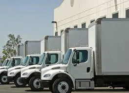 Reliable Moving Services in Florida