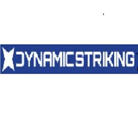 Online MMA Instructional Video