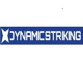 Online MMA Instructional Video