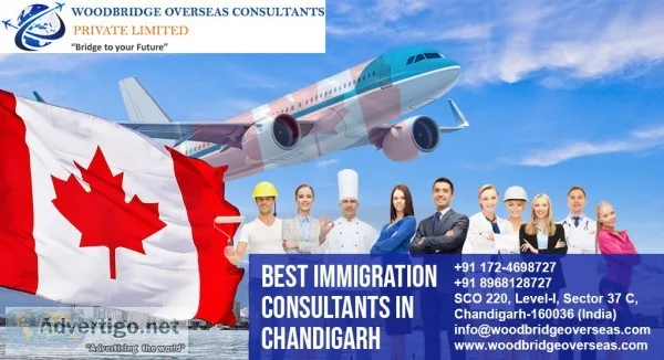Woodbridge overseas consultants