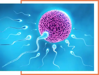 Miraculum ivf, provides fertility treatment