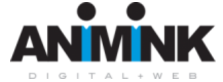 Animink - Website Design and Development Company Charlotte