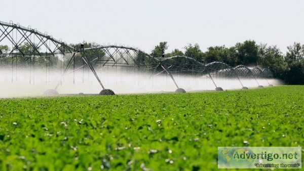 Irrigation Design Consultants California- Irri Design Studio