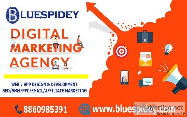 Top Digital Marketing Agency in Delhi NCR  Blue Spidey