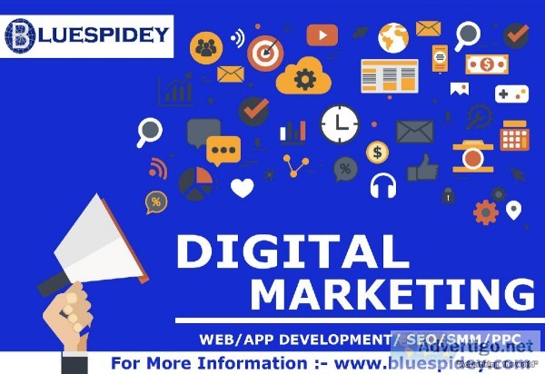 Blue Spidey  Digital Marketing Agency SEO Services PPC Company W