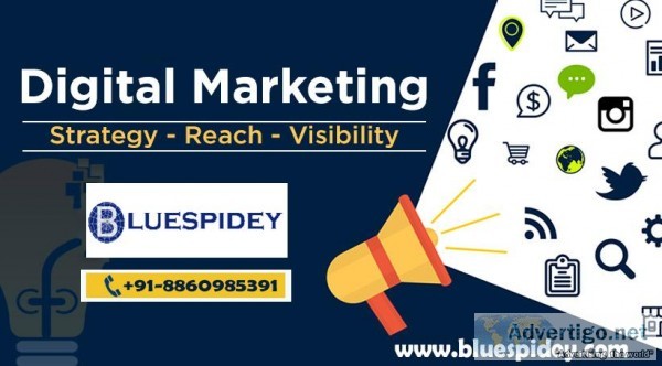 How to Manage Your Brand Online Reputation  Bluespidey