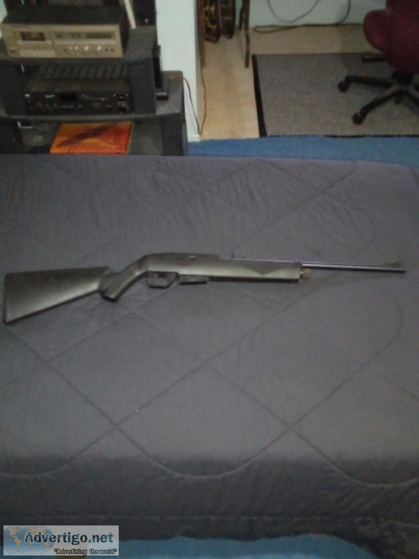 Pellet Gun