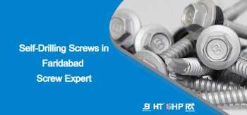 Self drilling screws in faridabad - Screw Expert