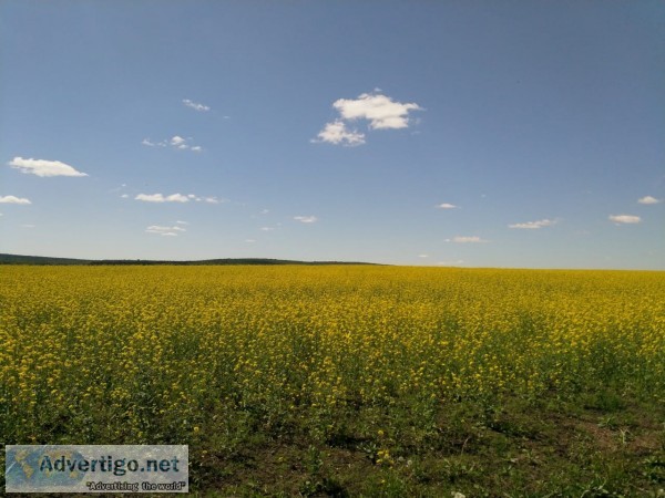 Land for sale in russia