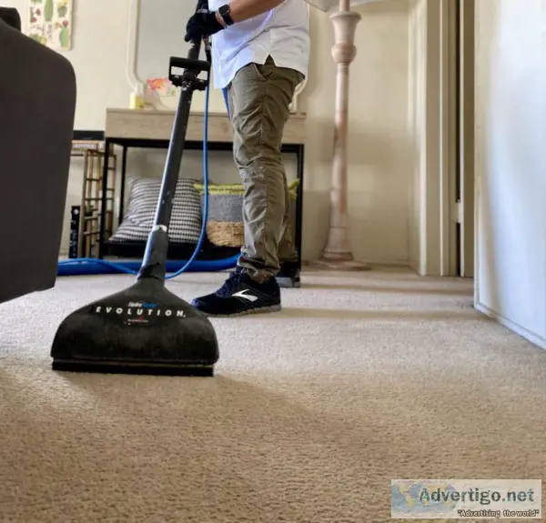 Best Carpet Cleaners in Manhattan Beach at Affordable Prices